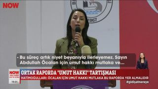 Ortak raporda "umut hakkı" tartışması... 